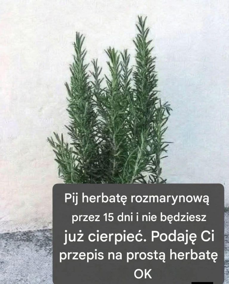 Nazywają ją naturalną morfiną, ponieważ łagodzi bóle mięśni, stawów i bóle reumatyczne. Aby nadal otrzymywać moje przepisy, wystarczy, że