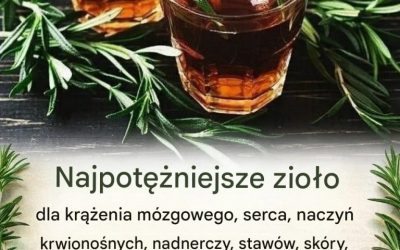 Niezwykle silne zioło wspomagające krążenie mózgowe, serce i naczynia krwionośne, nadnercza, stawy, skórę, włosy i wiele więcej👇👇