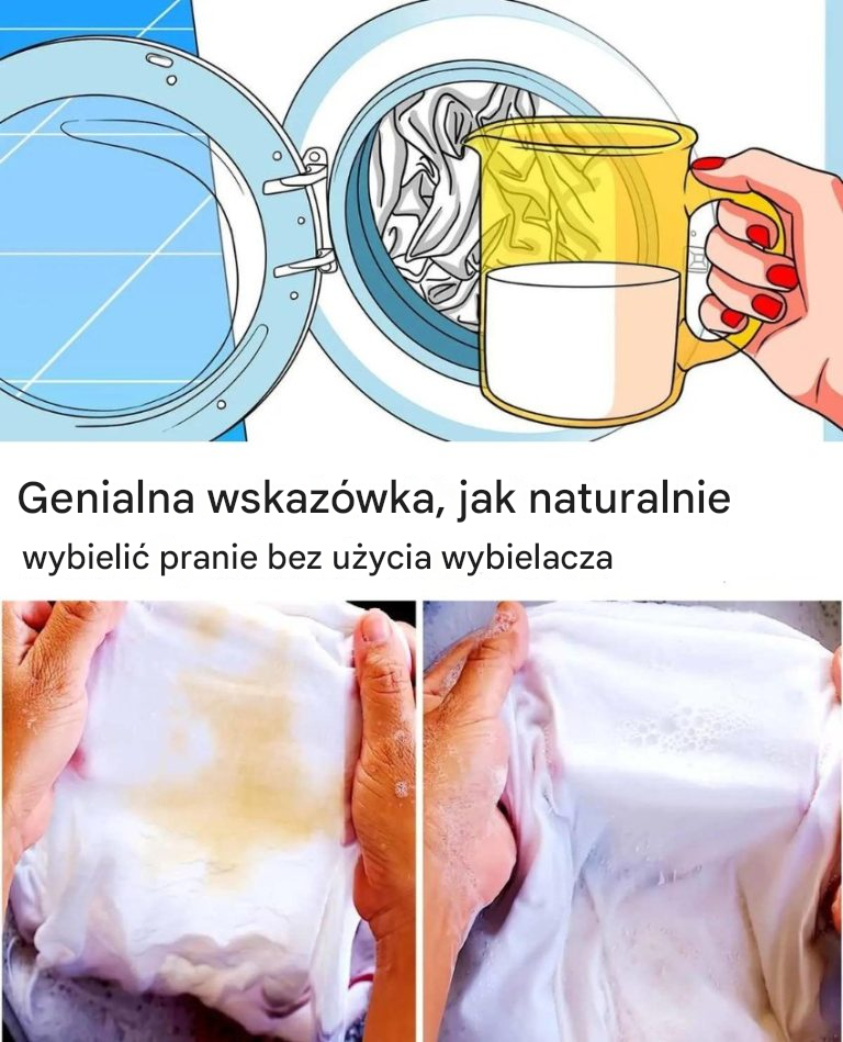 Wyniki wyszukiwania dla: Genialna wskazówka, jak naturalnie wybielić pranie bez użycia wybielacza